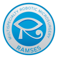 RAMSES